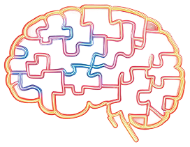 brain
